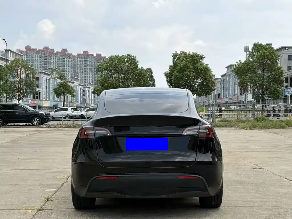 Tesla Model Y — фото 6