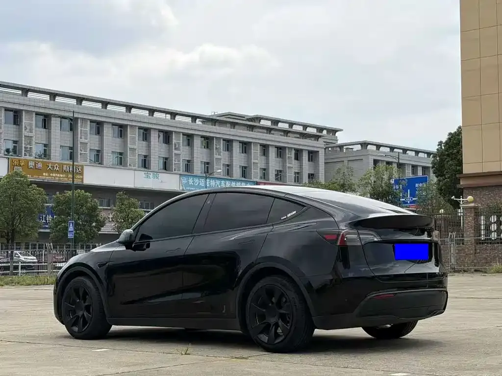 Tesla Model Y — фото 9