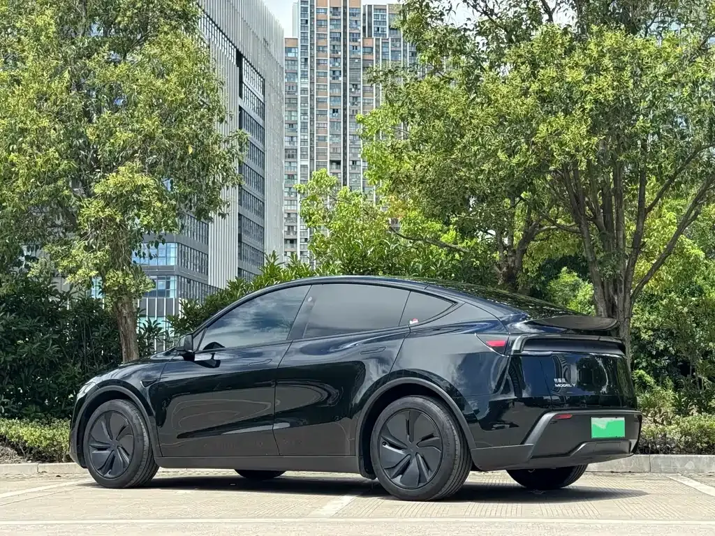 Tesla Model Y — фото 5