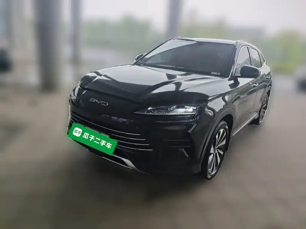 BYD PLUS New Energy — фото 1