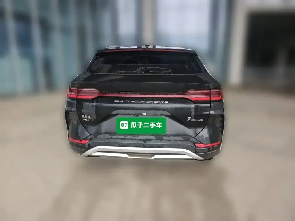 BYD PLUS New Energy — фото 4