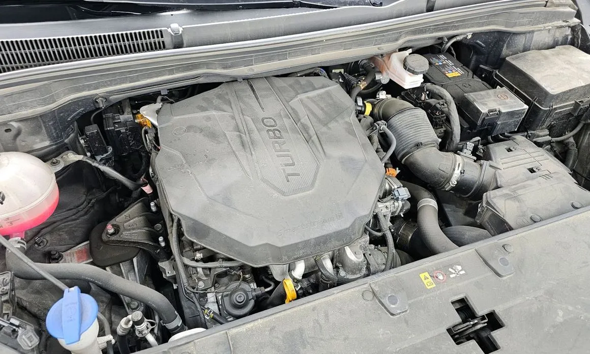 Kia Carnival — фото 10
