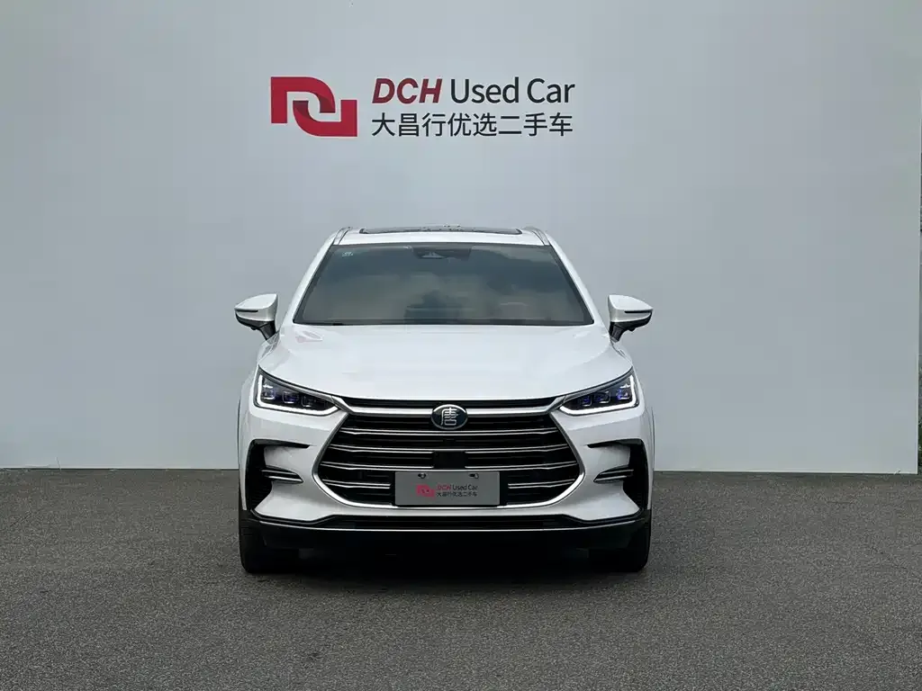 BYD Tang New Energy — фото 8