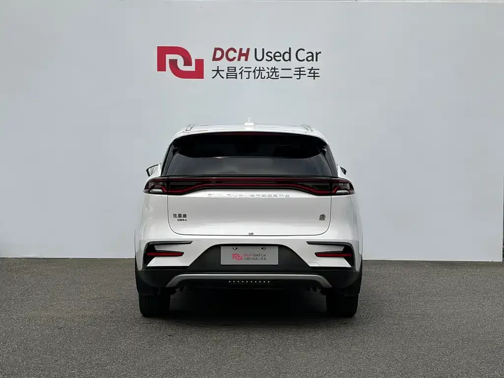 BYD Tang New Energy — фото 10