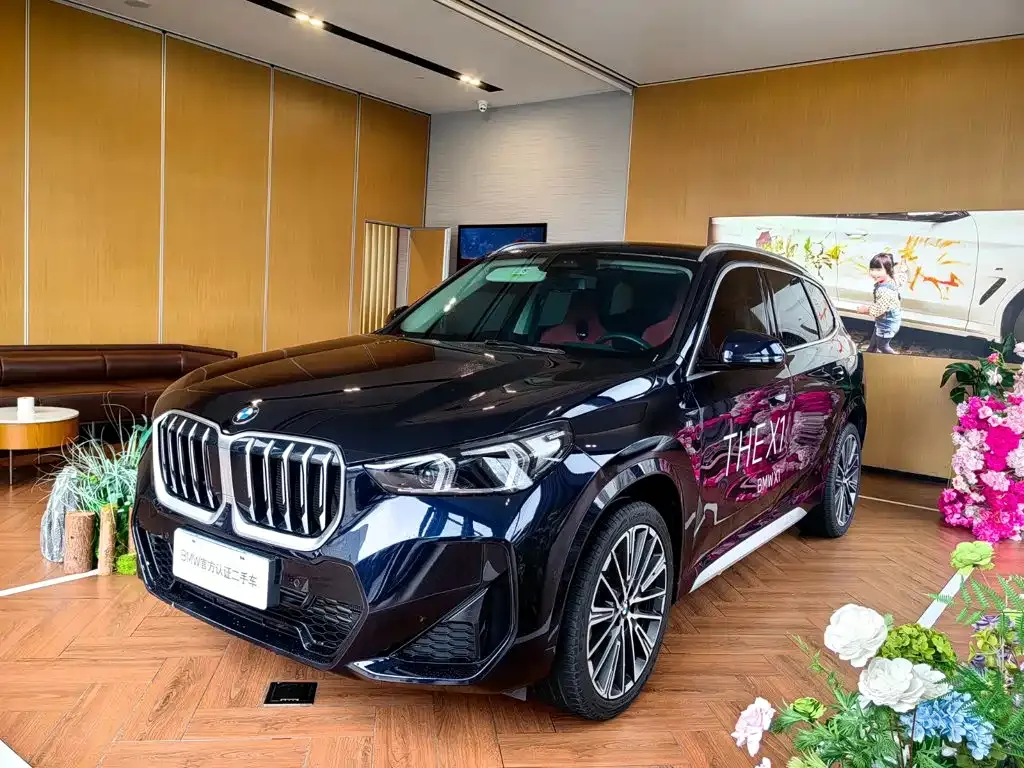 BMW X1 — фото 1