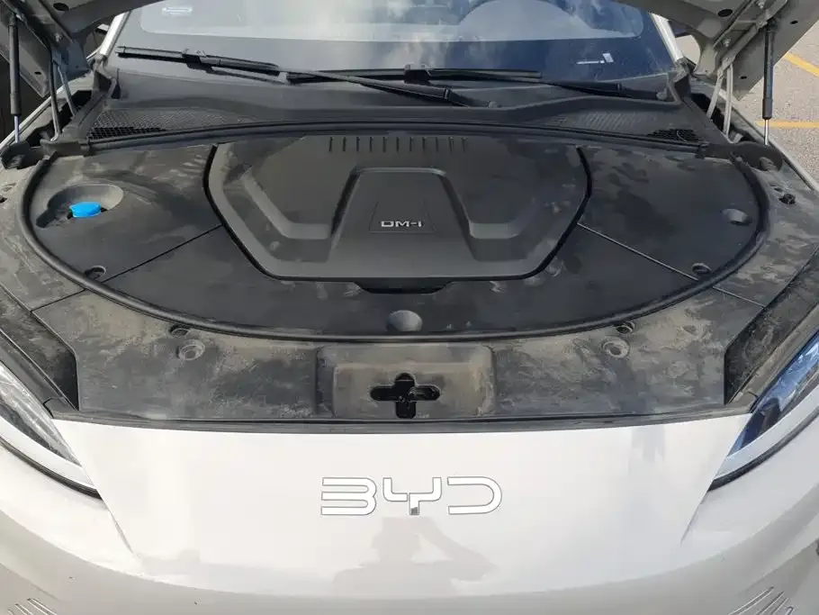 BYD PLUS New Energy — фото 2