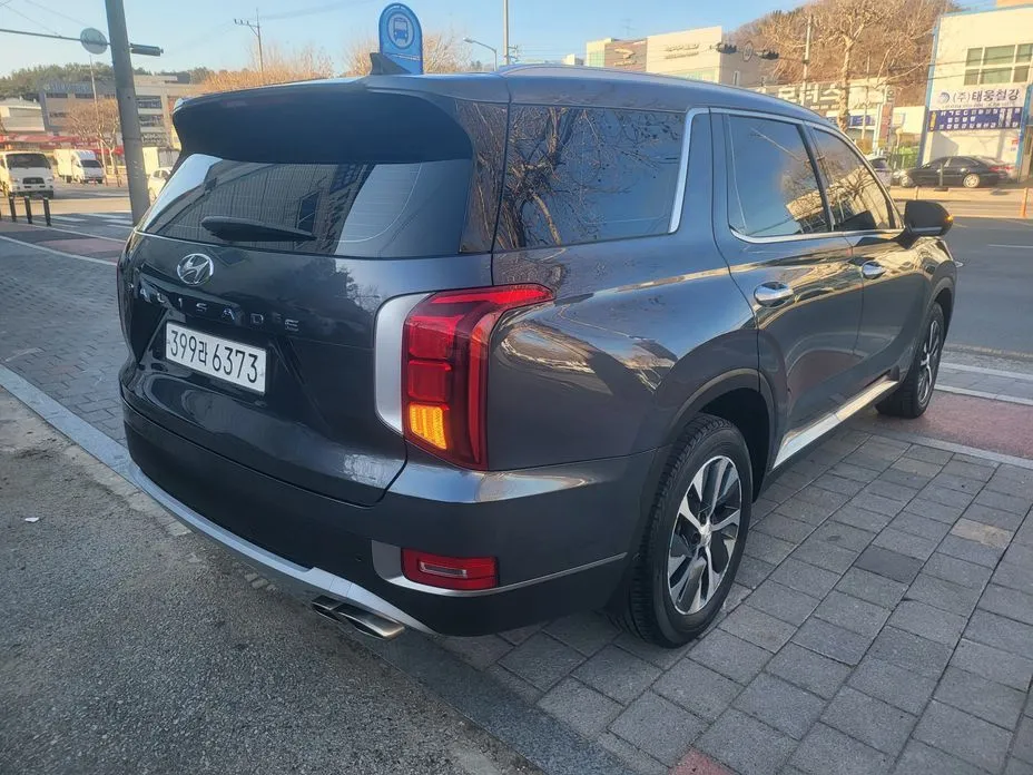 Hyundai Palisade — фото 10