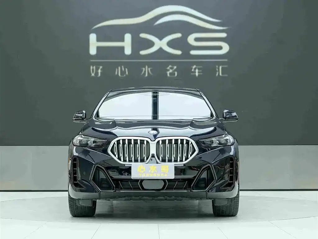 BMW X6 — фото 10