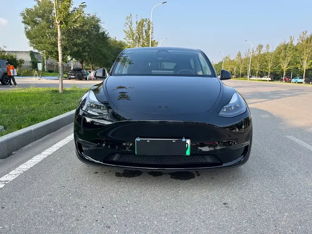 Tesla Model Y — фото 8
