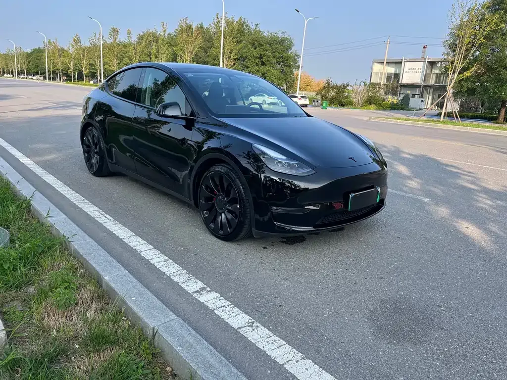 Tesla Model Y — фото 10