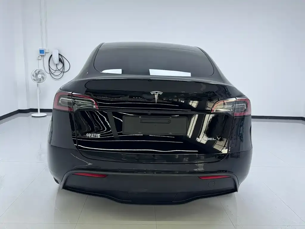 Tesla Model Y — фото 5