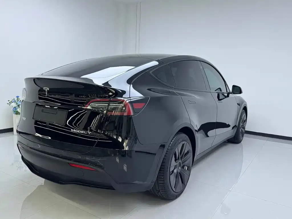 Tesla Model Y — фото 2