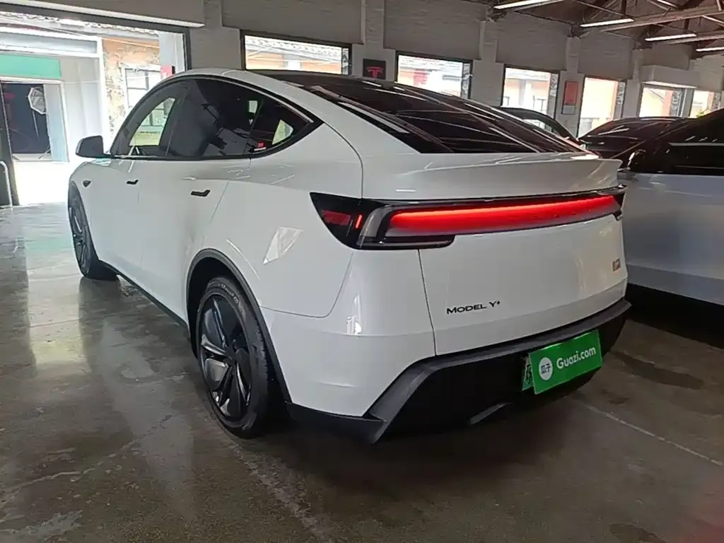 Tesla Model Y — фото 10