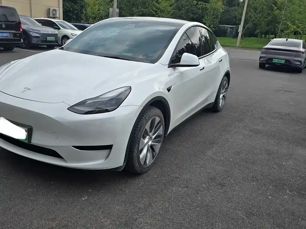 Tesla Model Y — фото 1