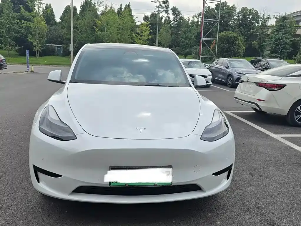Tesla Model Y — фото 9