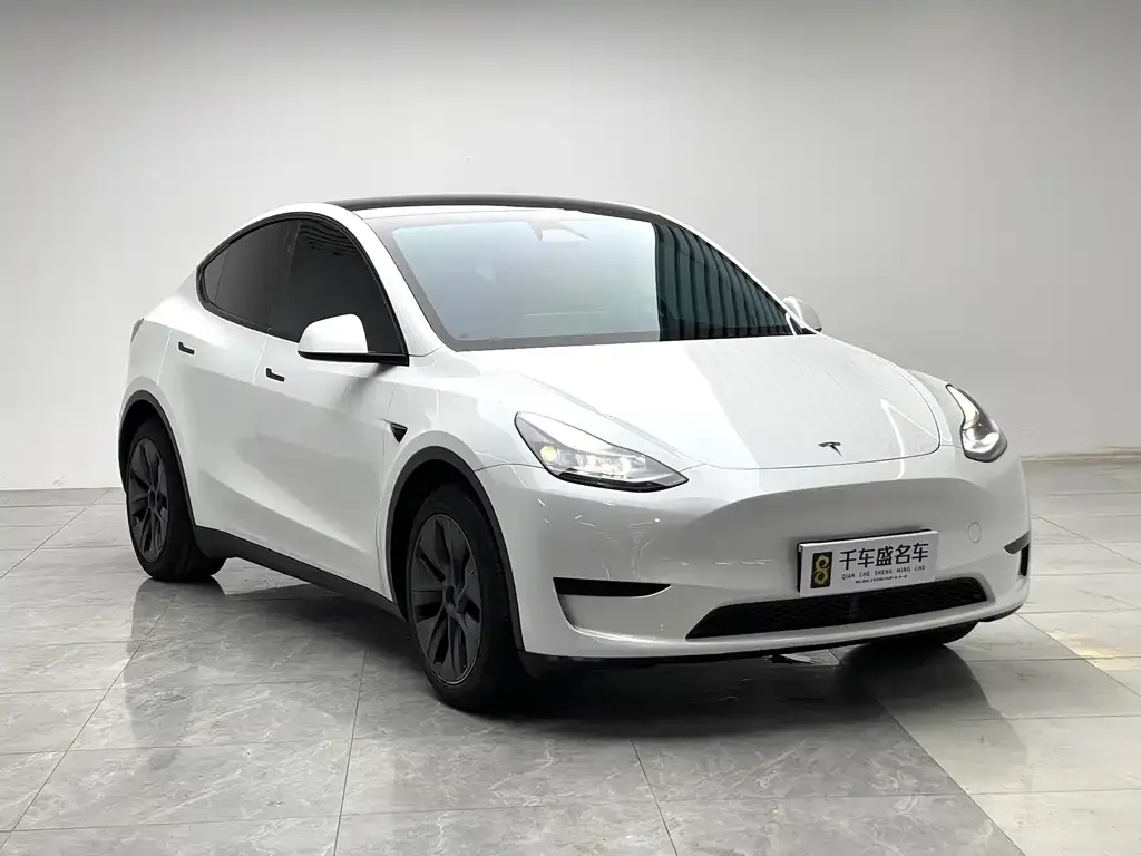 Tesla Model Y — фото 9