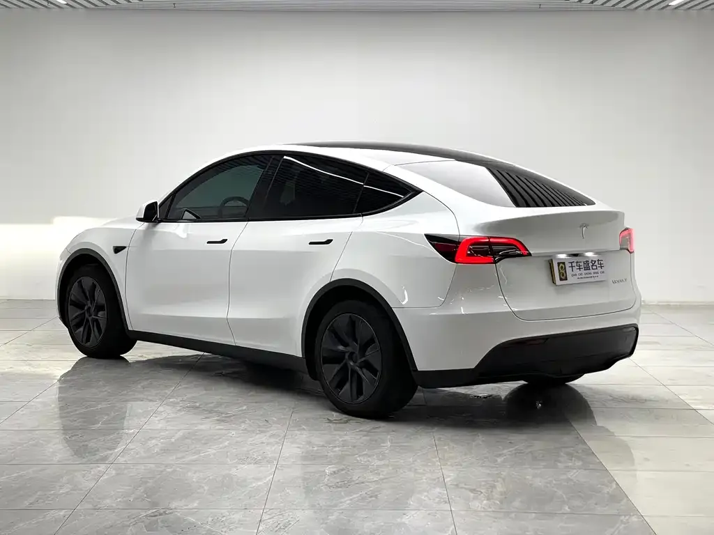 Tesla Model Y — фото 5