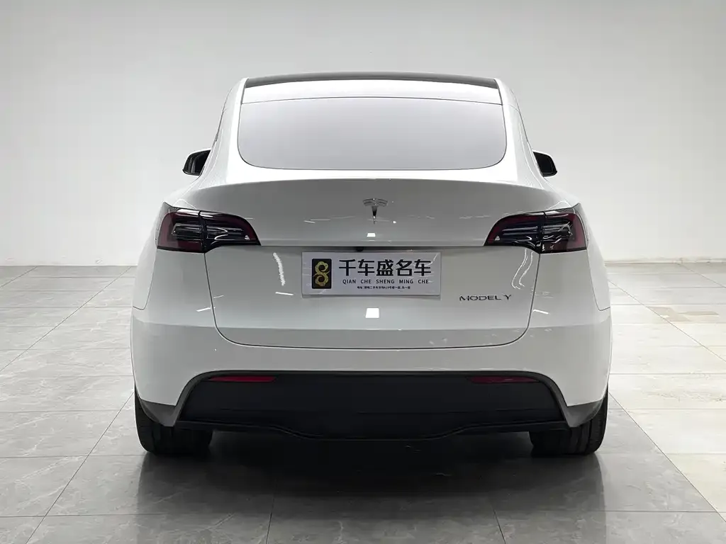 Tesla Model Y — фото 8
