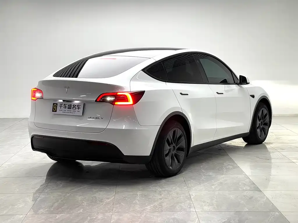 Tesla Model Y — фото 2