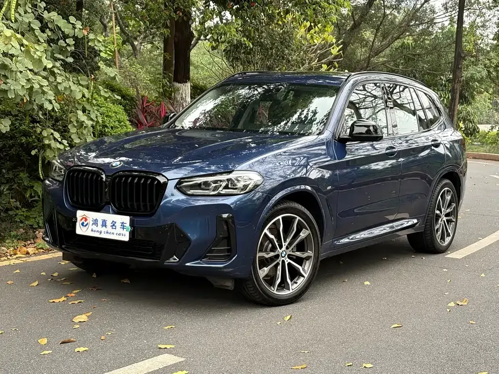 BMW X3 — фото 1