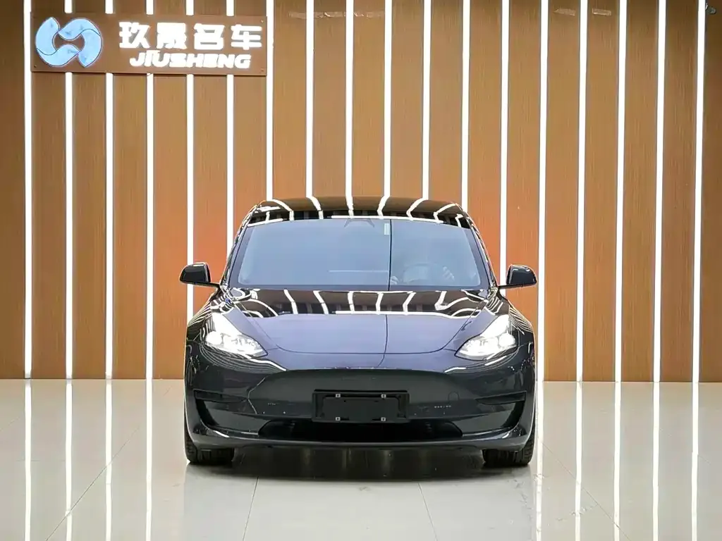 Tesla Model 3 — фото 4