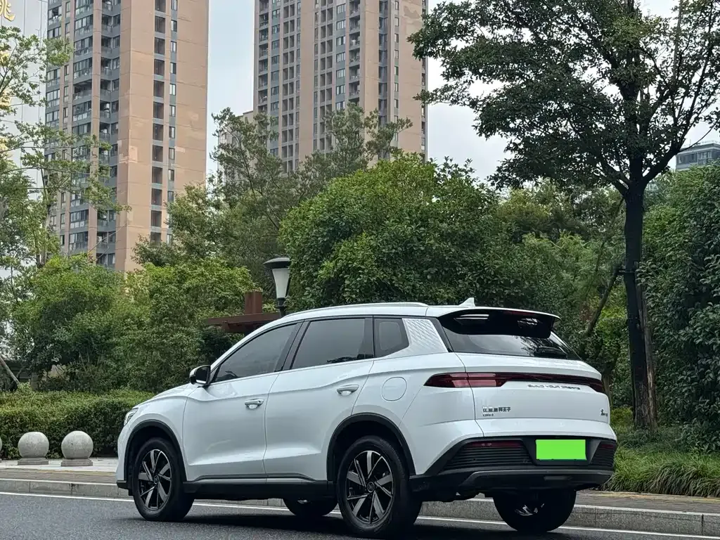 BYD Pro New Energy — фото 10