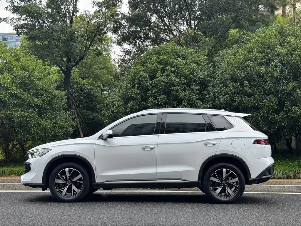 BYD Pro New Energy — фото 9
