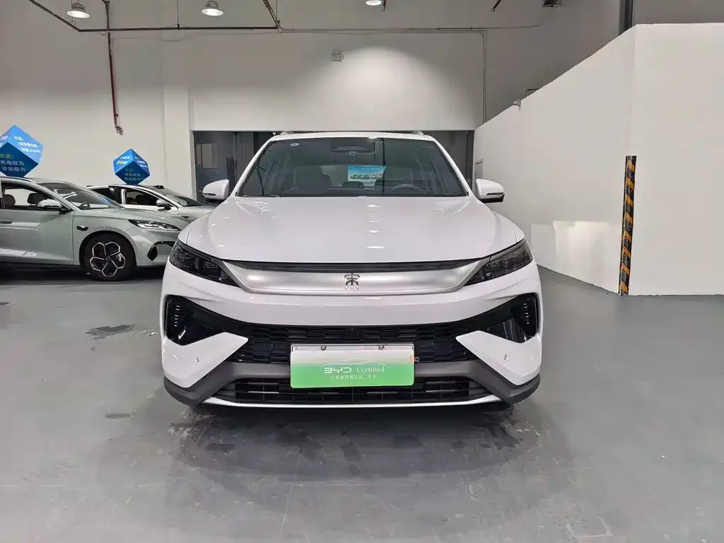 BYD Pro New Energy — фото 3
