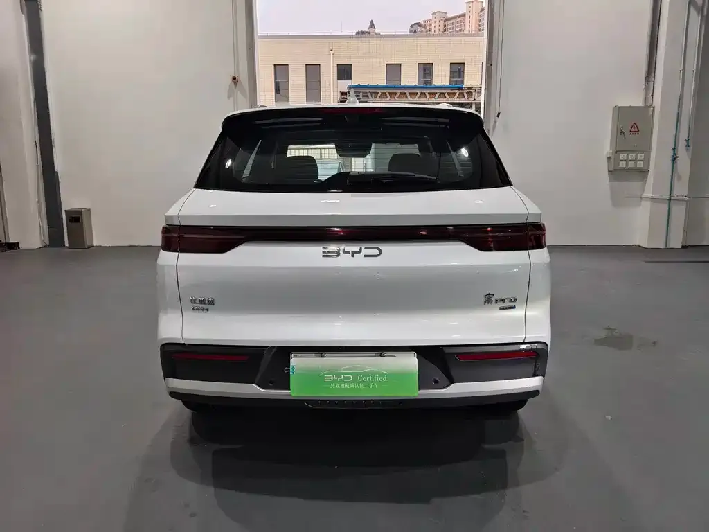 BYD Pro New Energy — фото 2