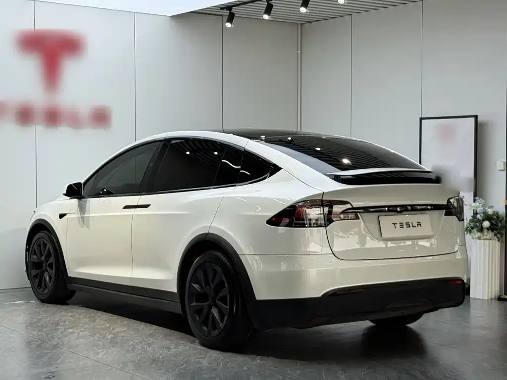 Tesla Model X — фото 6