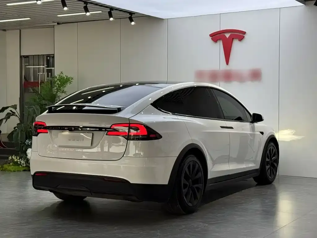 Tesla Model X — фото 5