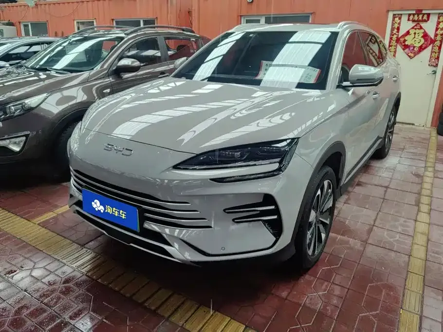 BYD PLUS New Energy — фото 1