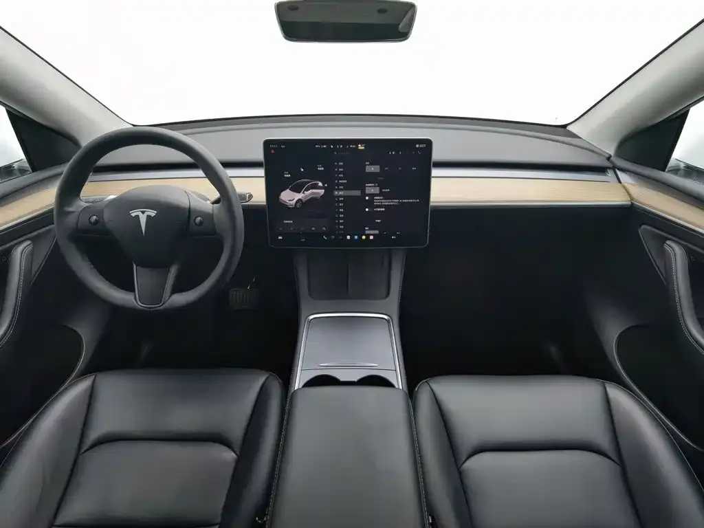 Tesla Model Y — фото 10