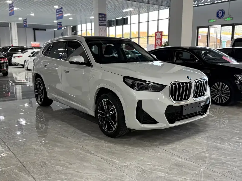 BMW X1 — фото 8