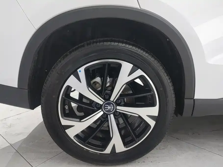 BYD Pro New Energy — фото 10