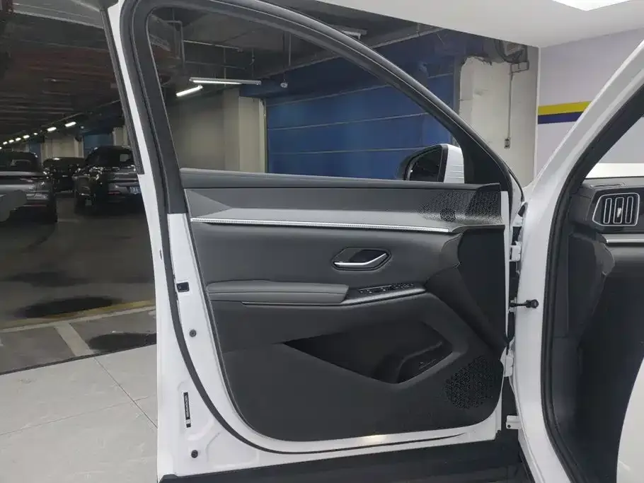 BYD Pro New Energy — фото 2