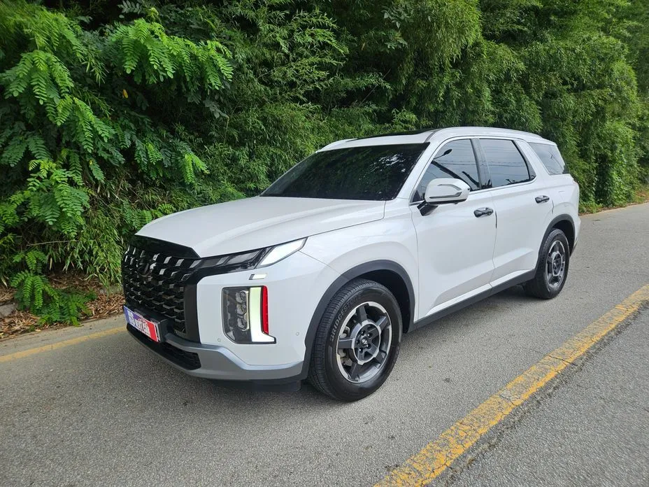 Hyundai Palisade — фото 1