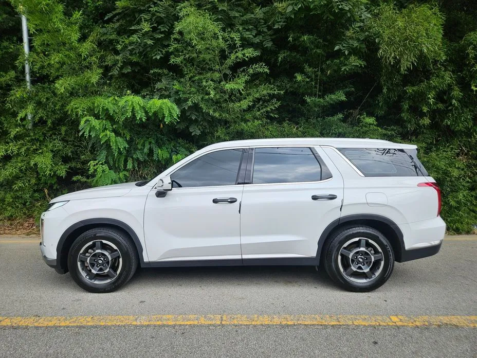 Hyundai Palisade — фото 9