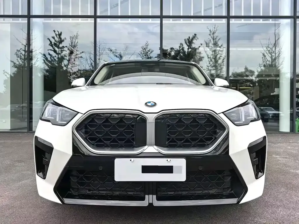 BMW X2 (Import) — фото 8