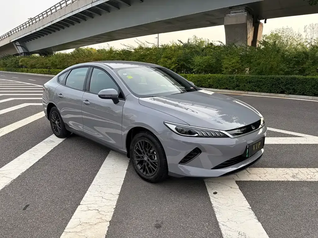 BYD Qin PLUS — фото 4
