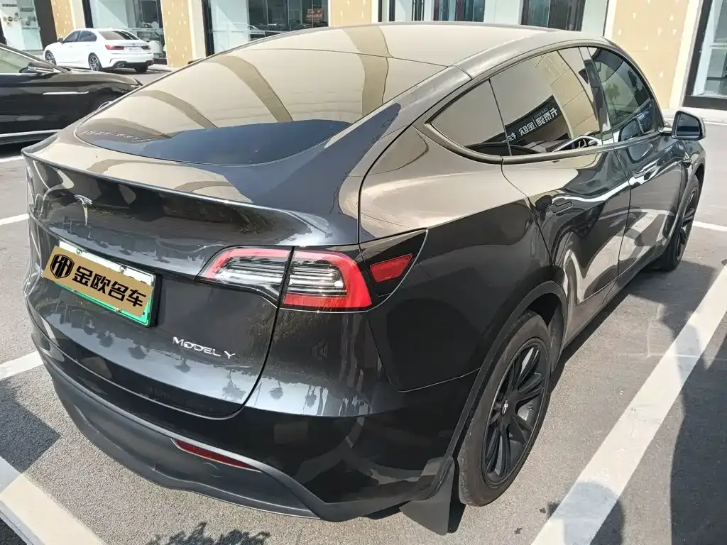Tesla Model Y — фото 9