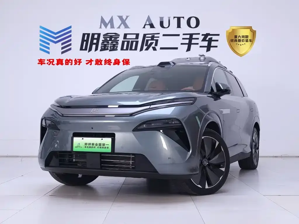 BYD Tang L — фото 1