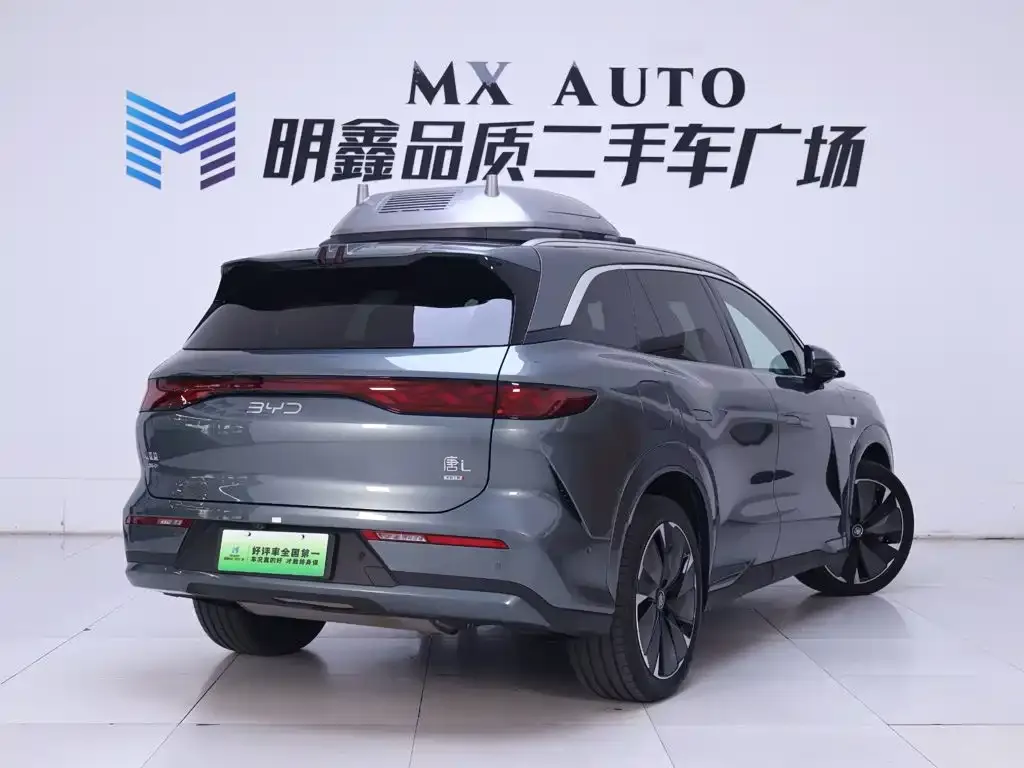 BYD Tang L — фото 10