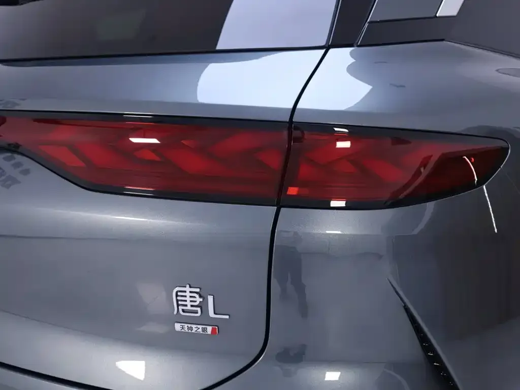 BYD Tang L — фото 8