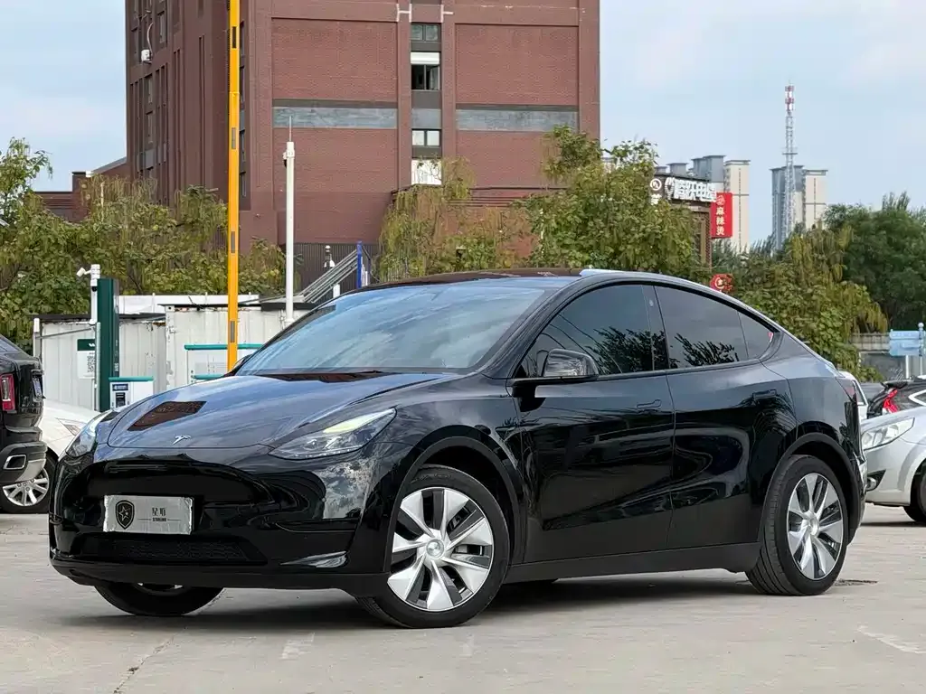 Tesla Model Y — фото 1