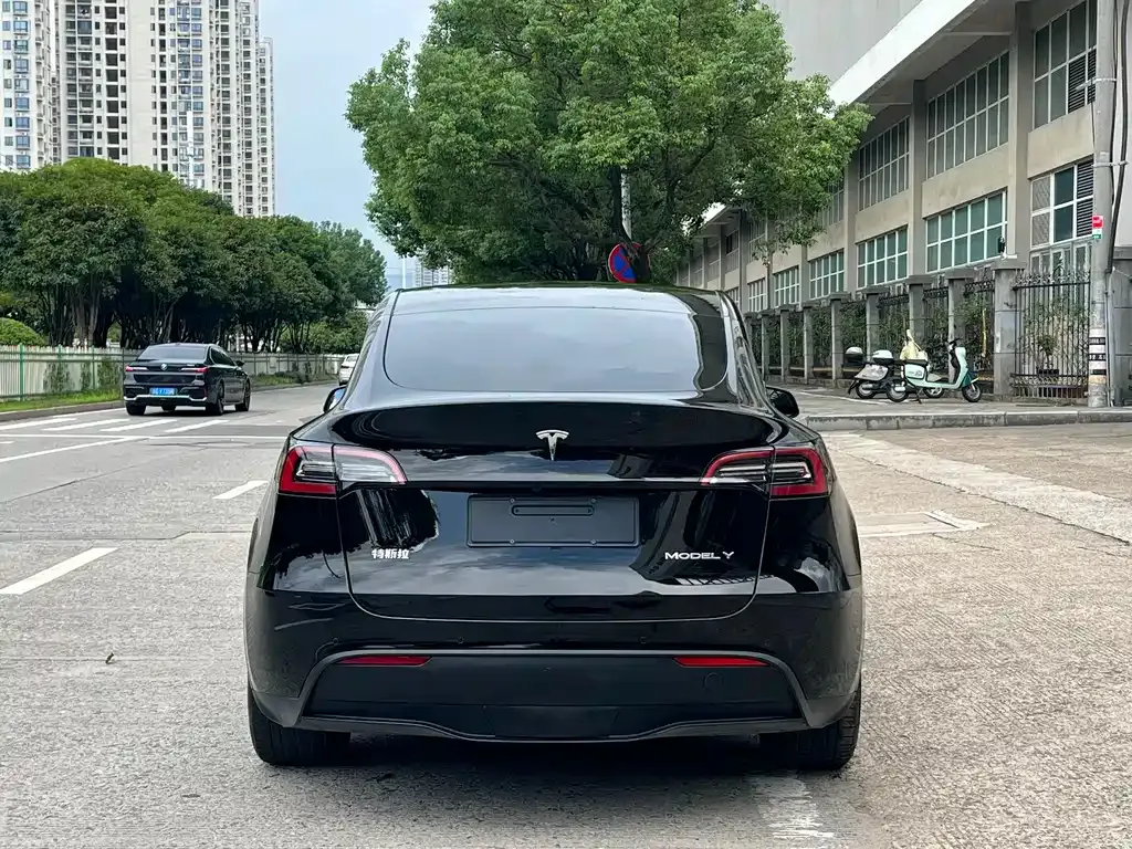 Tesla Model Y — фото 9
