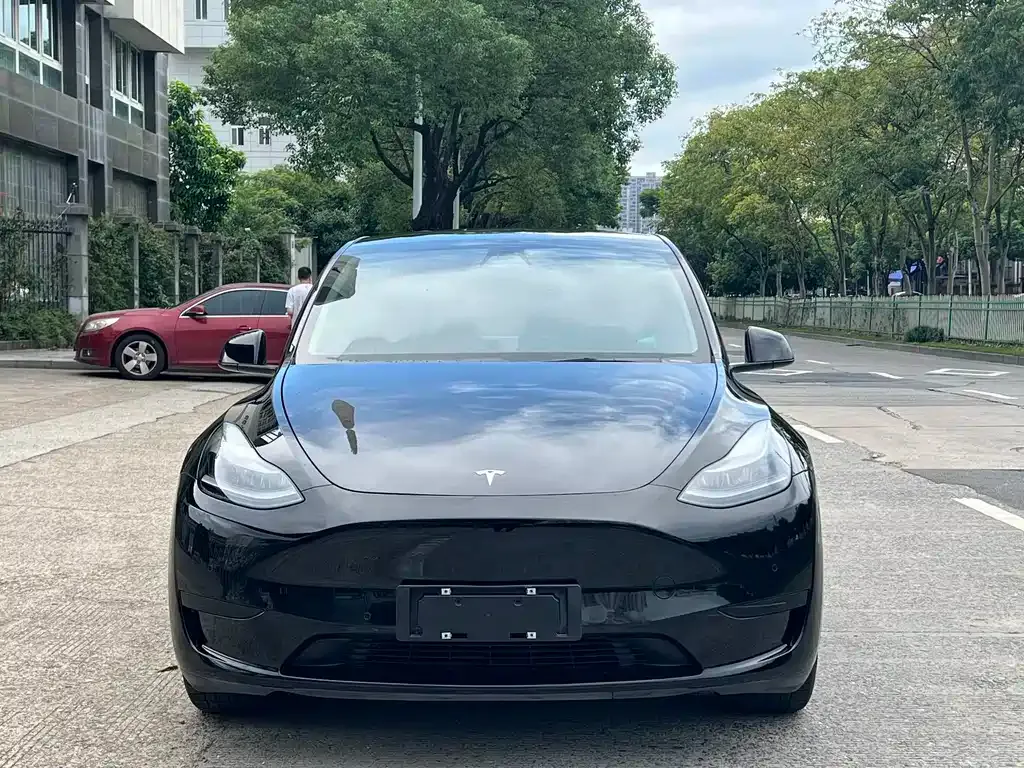 Tesla Model Y — фото 10