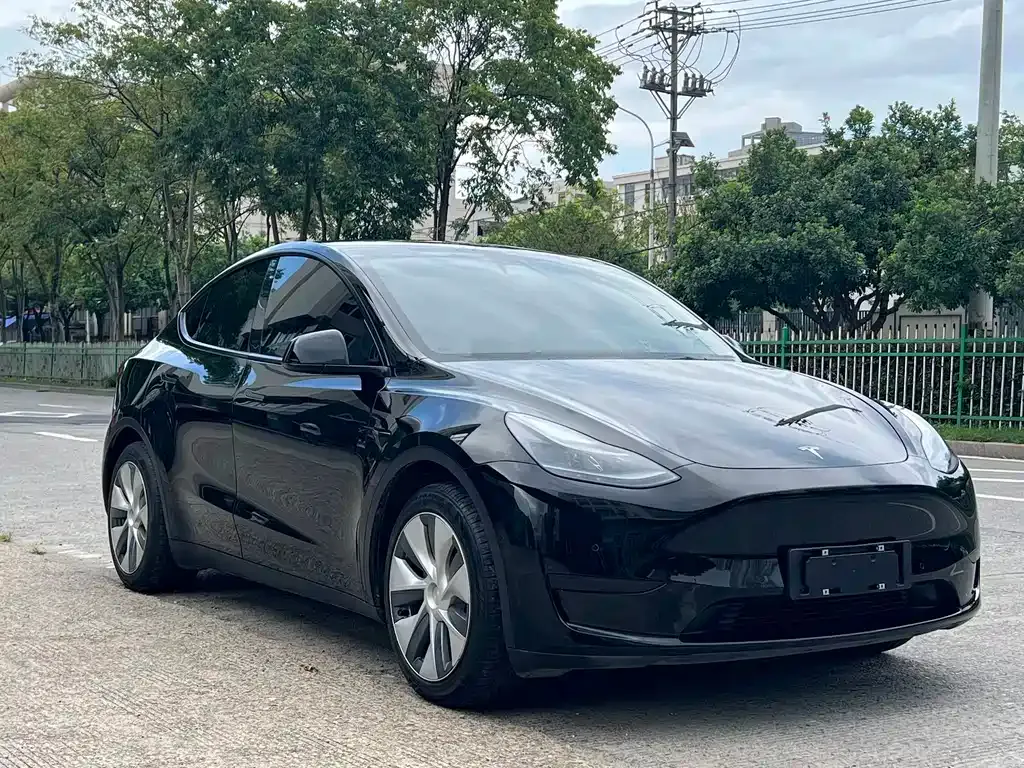Tesla Model Y — фото 7