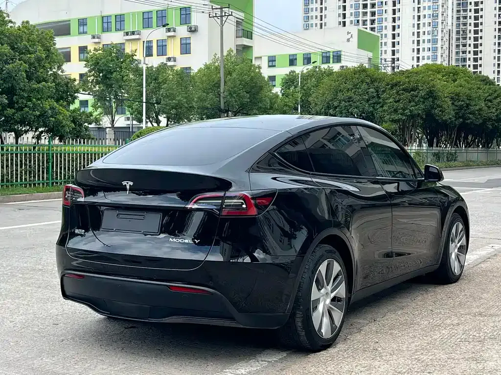 Tesla Model Y — фото 8
