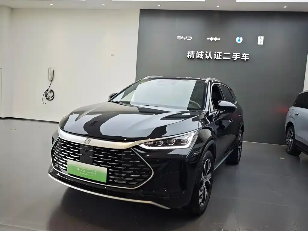 BYD Tang New Energy — фото 1